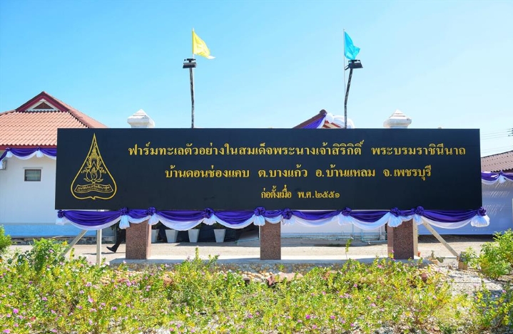 สารคดี โครงการฟาร์มทะเลตัวอย่างแบบผสมผสานตามพระราชดำริ ในสมเด็จพระนางเจ้าสิริกิติ์ พระบรมราชินีนาถ ตำบลบางแก้ว อำเภอบ้านแหลม จังหวัดเพชรบุรี