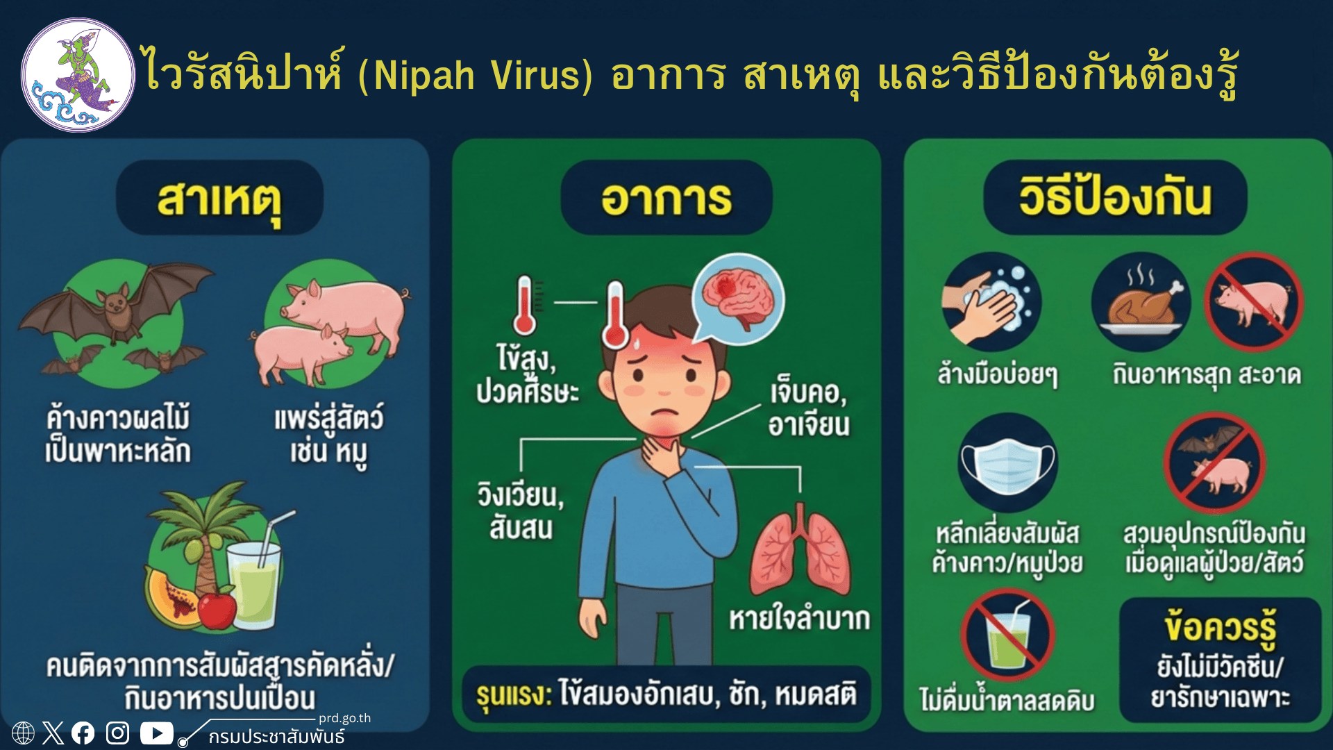 ไวรัสนิปาห์ (Nipah Virus) อาการ สาเหตุ และวิธีป้องกันต้องรู้