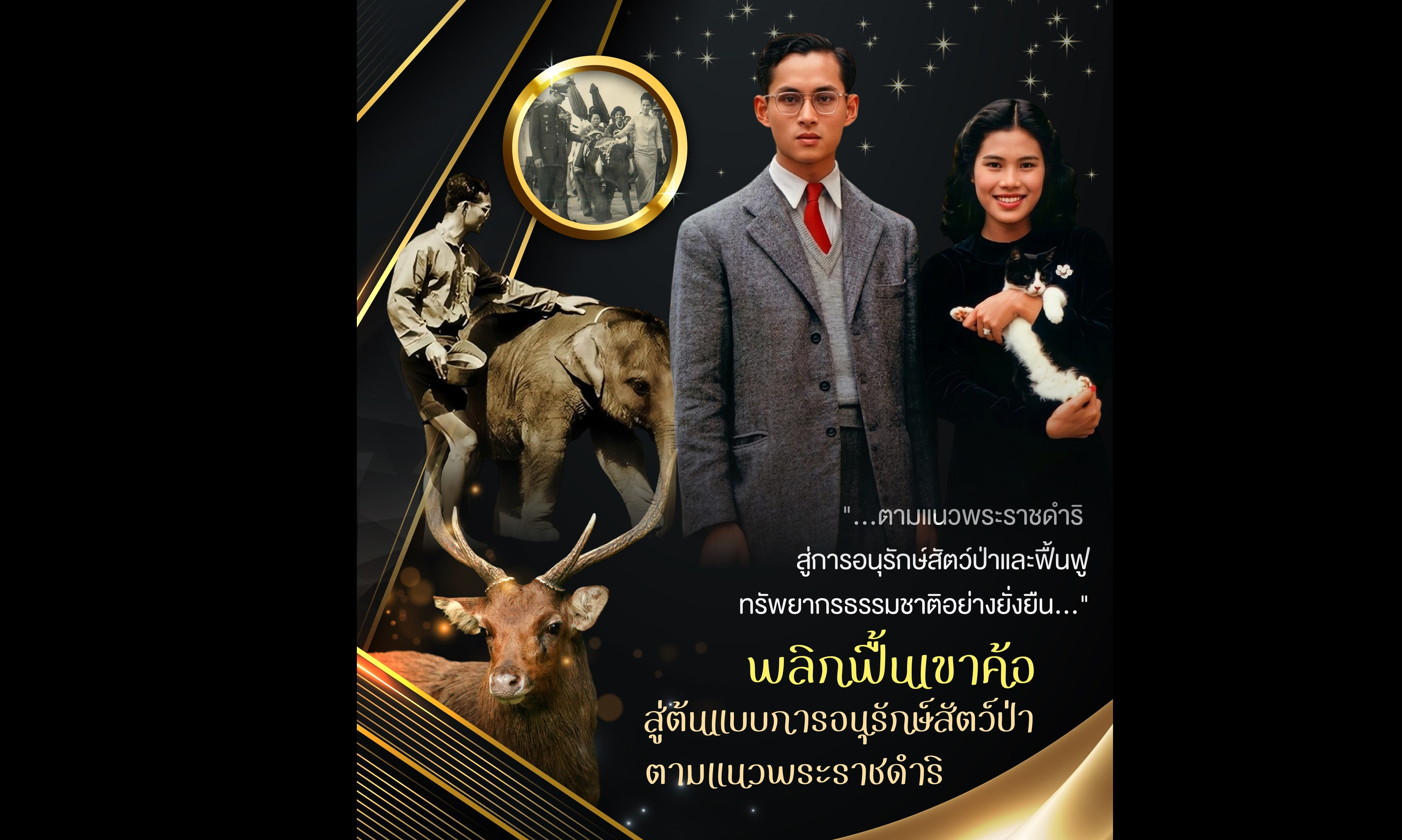 "...ตามแนวพระราชดำริ สู่การอนุรักษ์สัตว์ป่าและฟื้นฟูทรัพยากรธรรมชาติอย่างยั่งยืน..." พลิกฟื้นเขาค้อ : สู่ต้นแบบการอนุรักษ์สัตว์ป่าตามแนวพระราชดำริ